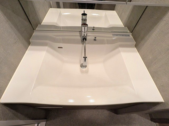 Dimus根岸の設備|ハンドシャワー付独立洗面台