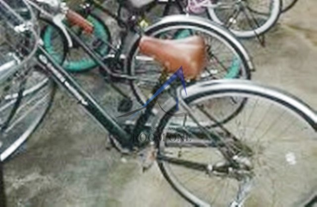 ベルビータ新高円寺