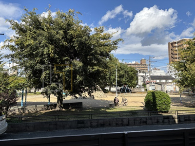 【展望】 | Geach永田