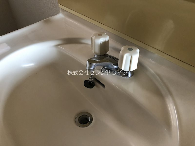 メゾン・ド・Kの洗面所