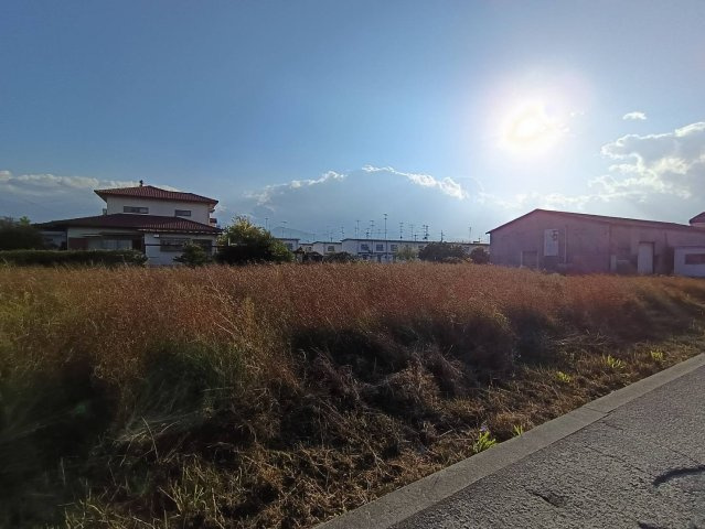 西条市樋之口①号地　売土地の外観