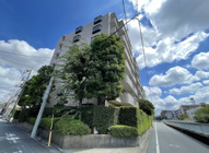 氷川台ハイムの画像