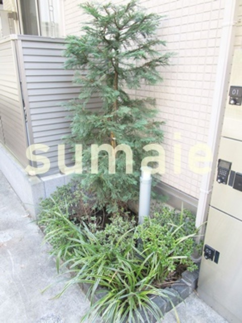 シェルハウス上中里Cのその他|植栽です☆彡