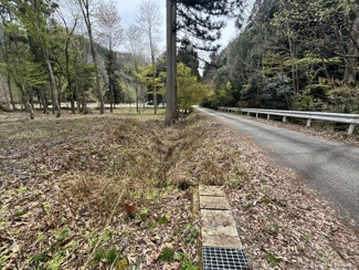 【外観】 | 丹波篠山市上筱見　山林