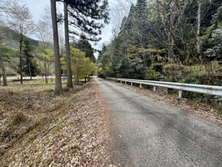 【前面道路含む現地写真】 | 丹波篠山市上筱見　山林