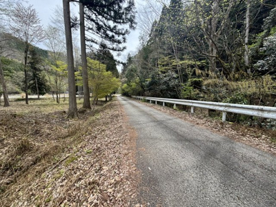 【前面道路含む現地写真】 | 丹波篠山市上筱見　山林