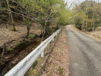 【前面道路含む現地写真】 | 丹波篠山市上筱見　山林