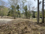 丹波篠山市上筱見　山林の画像