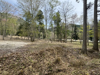 【外観】 | 丹波篠山市上筱見　山林