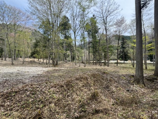【外観】 | 丹波篠山市上筱見　山林