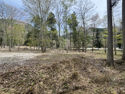 【外観】 | 丹波篠山市上筱見　山林