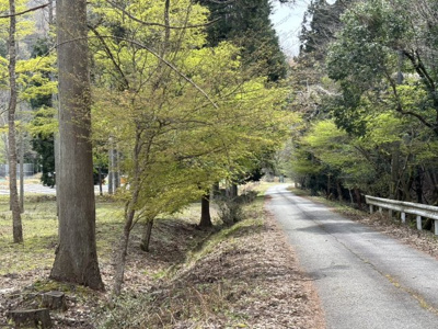【外観】 | 丹波篠山市上筱見　山林
