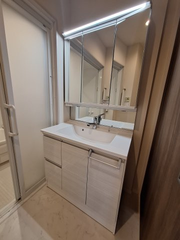 （シニア限定）サニーヒルズ湘南の洗面所|鏡面裏に収納あり/ホースヘッド