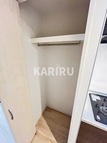 イデアル城東の収納