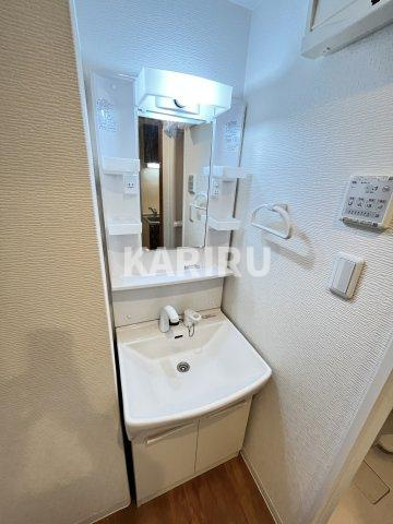 イデアル城東の洗面所