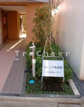 セレシア西巣鴨のエントランス
