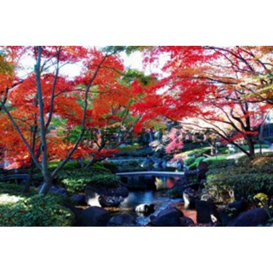 ドウェル・フロイデの周辺|公園「大田黒公園まで1403ｍ」