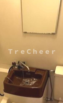 【洗面所】 | ヴィアシテラ西永福