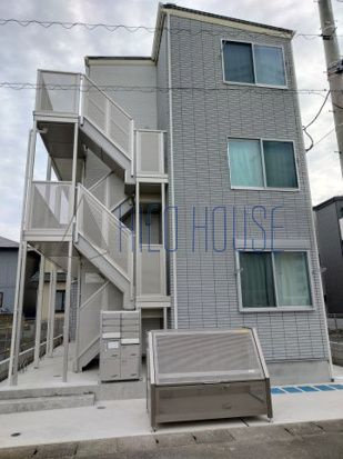 ラミアアルテ若葉