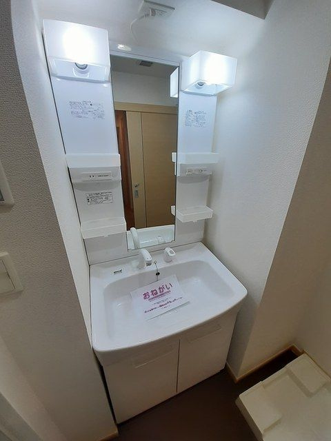 カーサ　ボニータの洗面所