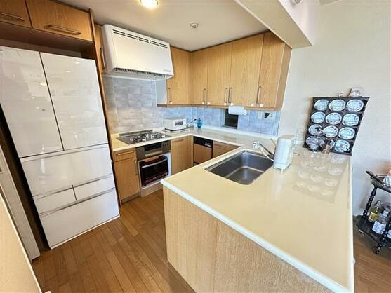 パルファイン伊豆高原D棟のキッチン