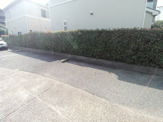 パインガーデン芦屋川PHⅡB棟の庭|お庭の付いた物件です