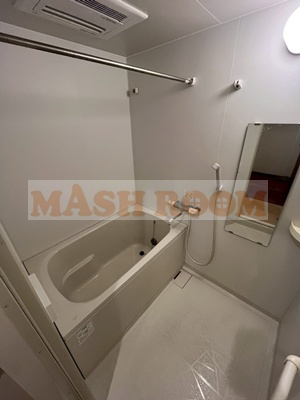 リバーサイドkawakitaの浴室