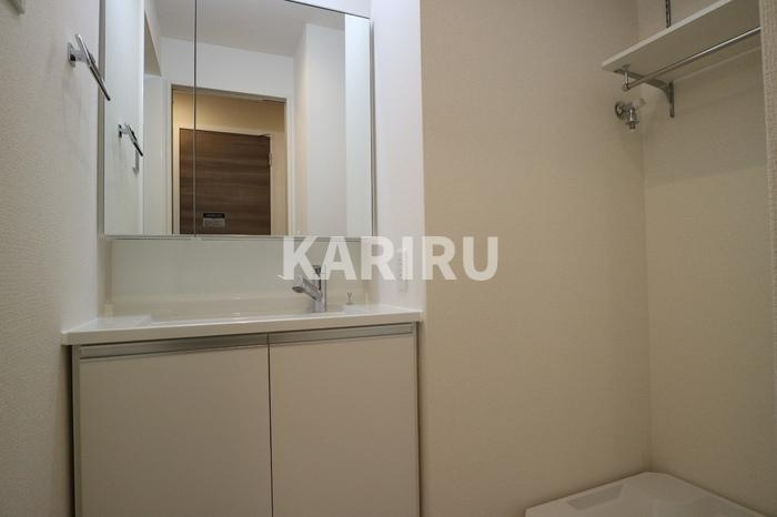 グランドール清水の洗面所