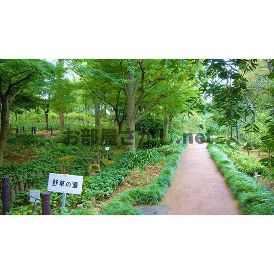 Ｓコートの周辺|公園「赤塚植物園まで1065ｍ」