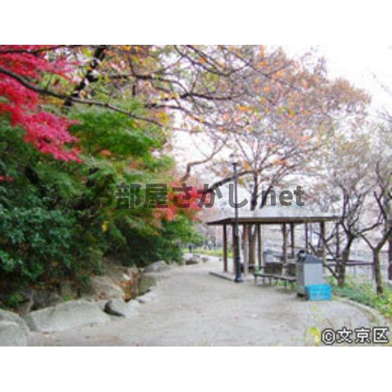 キャップス早稲田の周辺|公園「江戸川公園まで720ｍ」