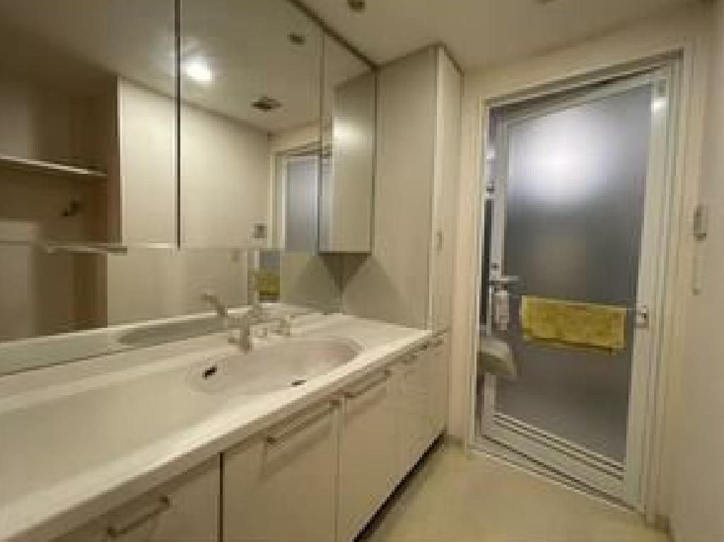 売マンション　小山市城山町　の独立洗面台