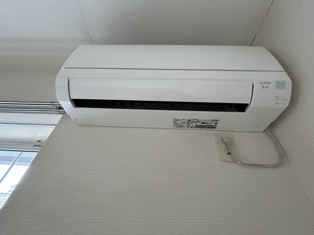 サングリーンの和室