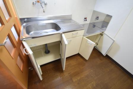 アフィニス原木の設備|キッチン下部収納