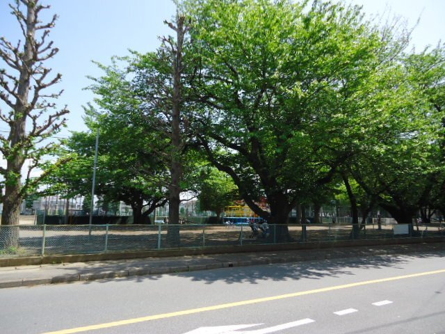 ドリームハウスの周辺