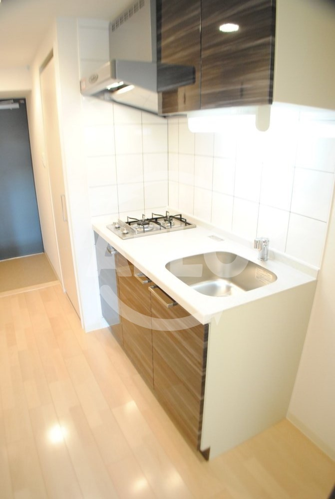 エスリード大阪天満宮のキッチン|エスリード大阪天満宮　2口ガスシステムキッチン