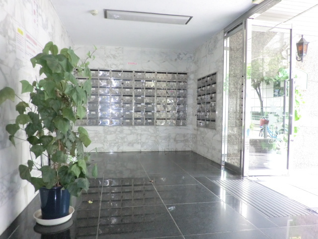 エクセレント上新6