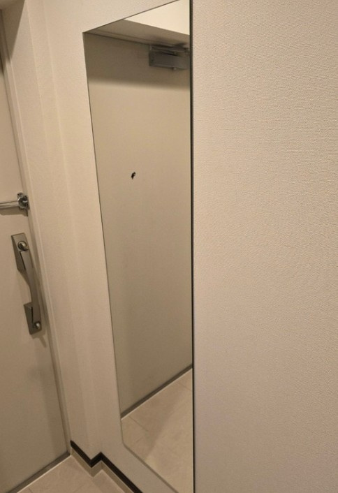 GENOVIA浅草Ⅳskygarden（ジェノヴィア浅草Ⅳスカイガーデン）の玄関