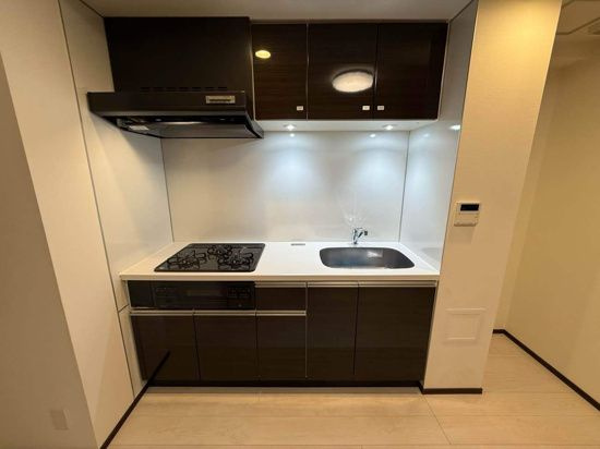 GENOVIA浅草Ⅳskygarden（ジェノヴィア浅草Ⅳスカイガーデン）のキッチン