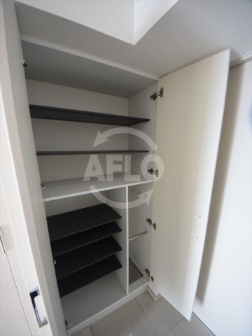 アドバンス大阪バレンシアの収納|アドバンス大阪バレンシア　クローゼット