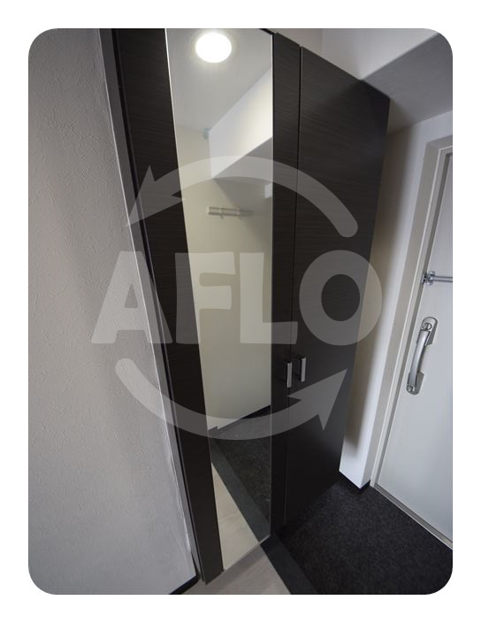 グランパシフィック田島Luxeの収納|グランパシフィック田島　姿見付きシューズボックス