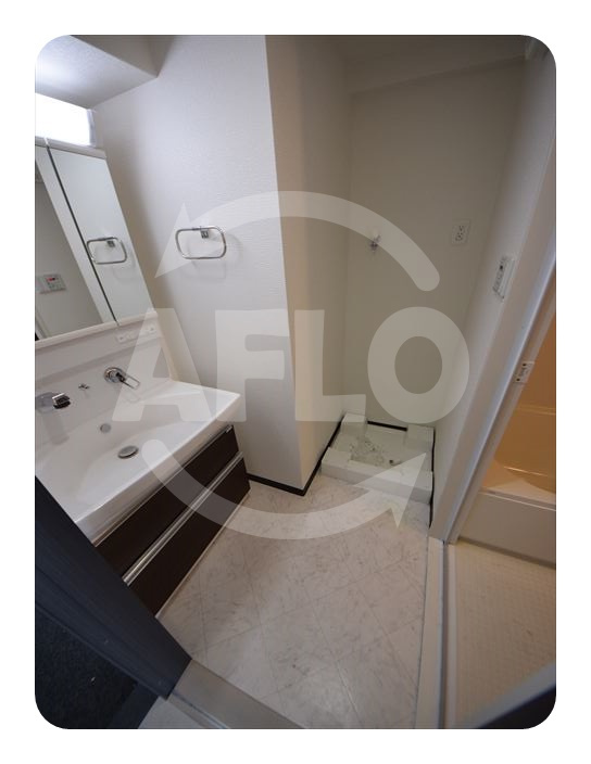 グランパシフィック田島Luxeの洗面所|グランパシフィック田島　洗面脱衣所