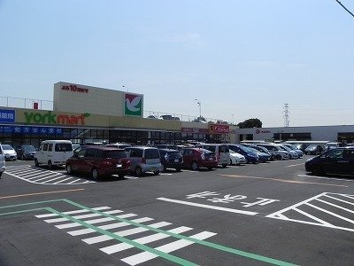 カーサ・フォーリストの周辺|ヨークマート花野井店まで550m