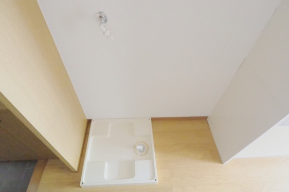 ロゼッタ石本のその他