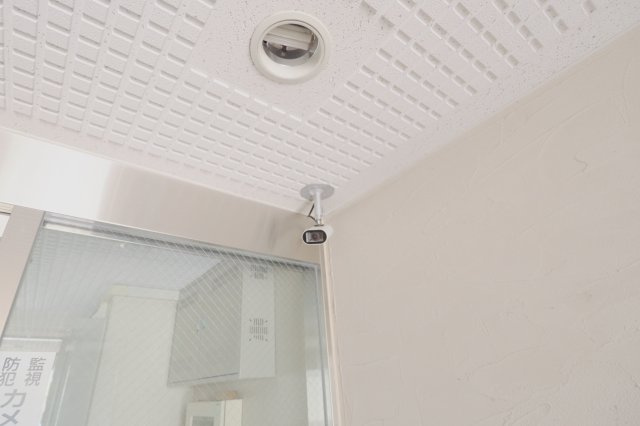 ロゼッタ石本のセキュリティ