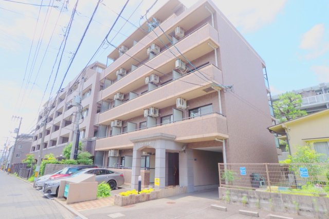 ロゼッタ石本の外観