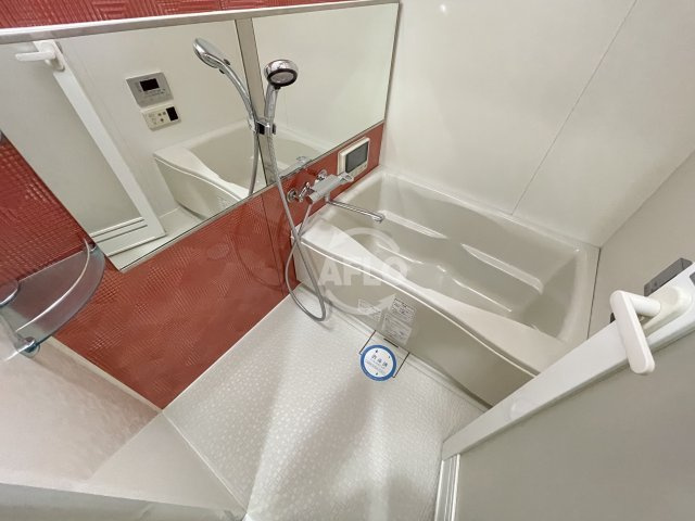 BRAVI南堀江（ブラービ南堀江）　日吉小学校区の浴室|BRAVI南堀江（ブラービ南堀江）　風呂