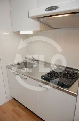 プロシード大阪ＮＢ3のキッチン|プロシード大阪ＮＢ3 　2口ガスシステムキッチン