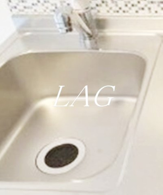 【その他】 | MAXIVbasic大鳥居 | シンクです。