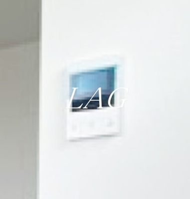 【セキュリティ】 | MELDIA蒲田Ⅲ | モニター付きインターホンです。