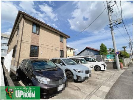 シェルティの外観